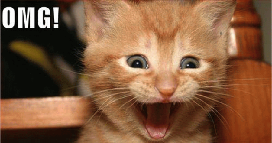 omg-excited-face-cat-funny-picture